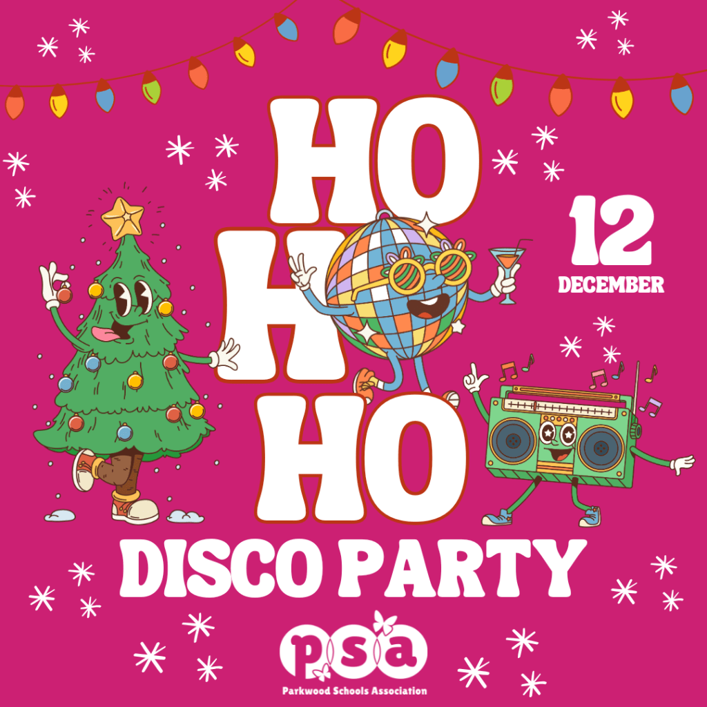 Christmas Disco 12 December 2024